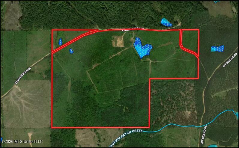 Chathaw Path Property Photo 59