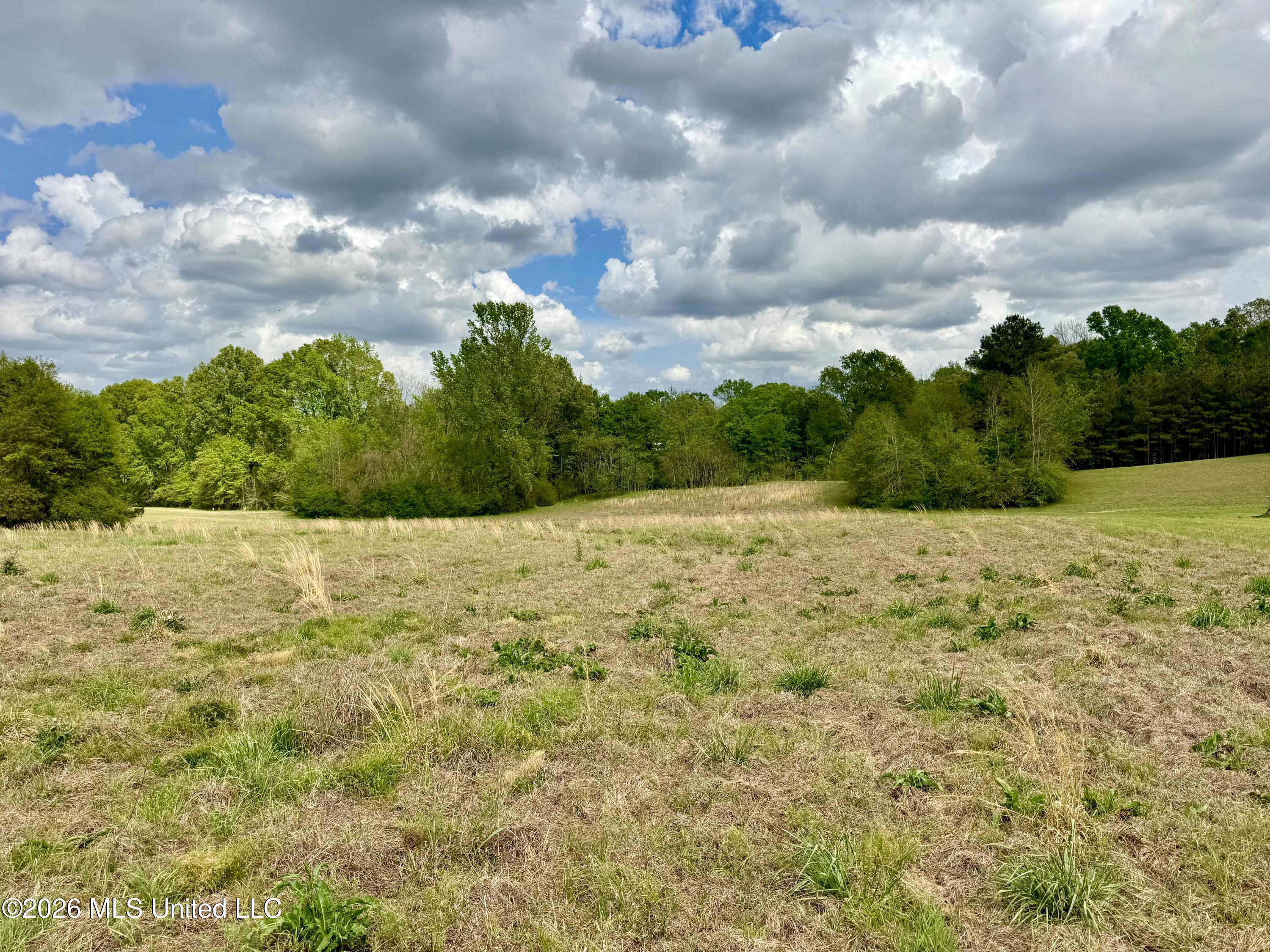 000001 Meadow Oak Lane Property Photo 5