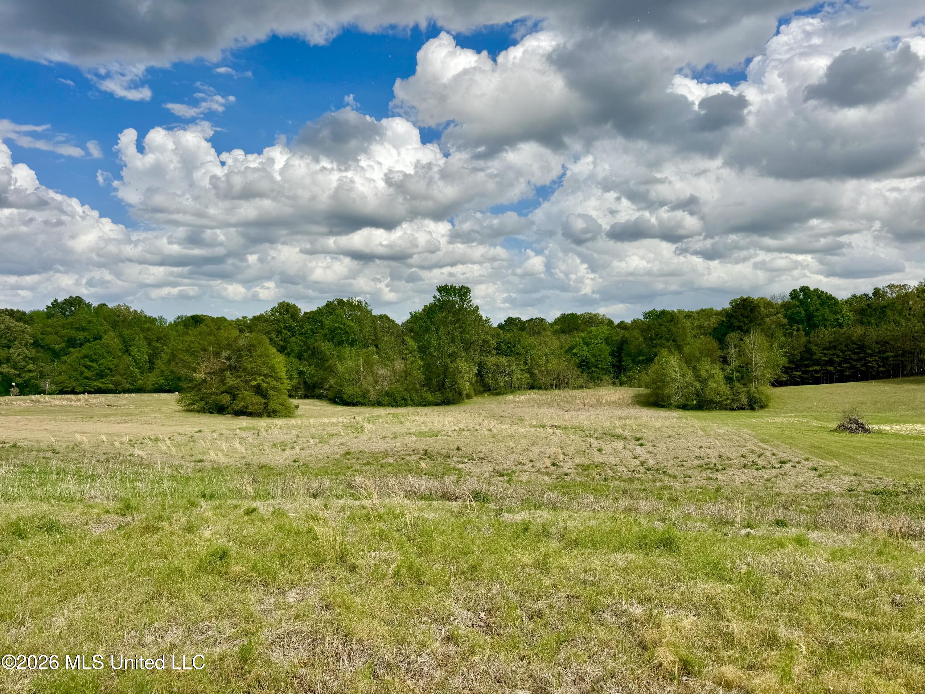 000001 Meadow Oak Lane Property Photo 7