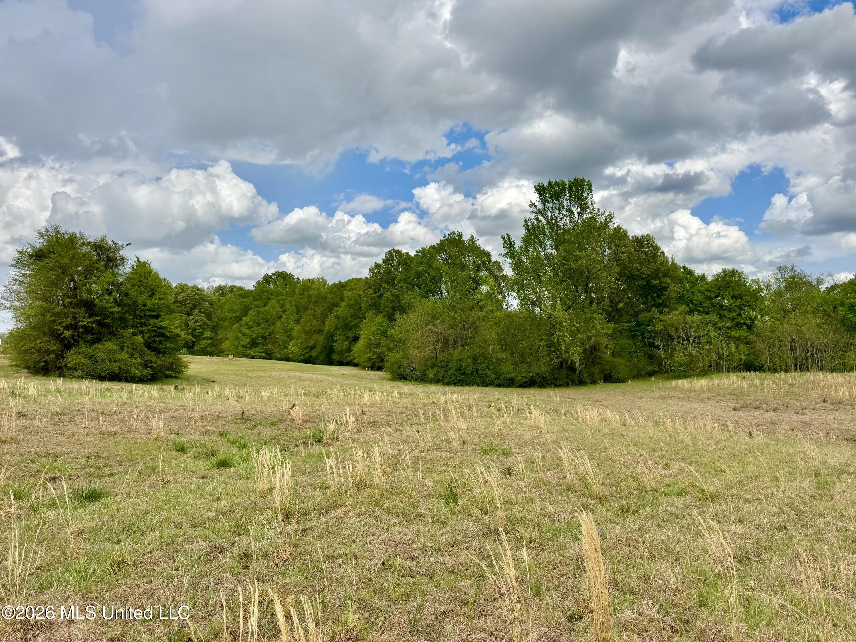 000001 Meadow Oak Lane Property Photo 8