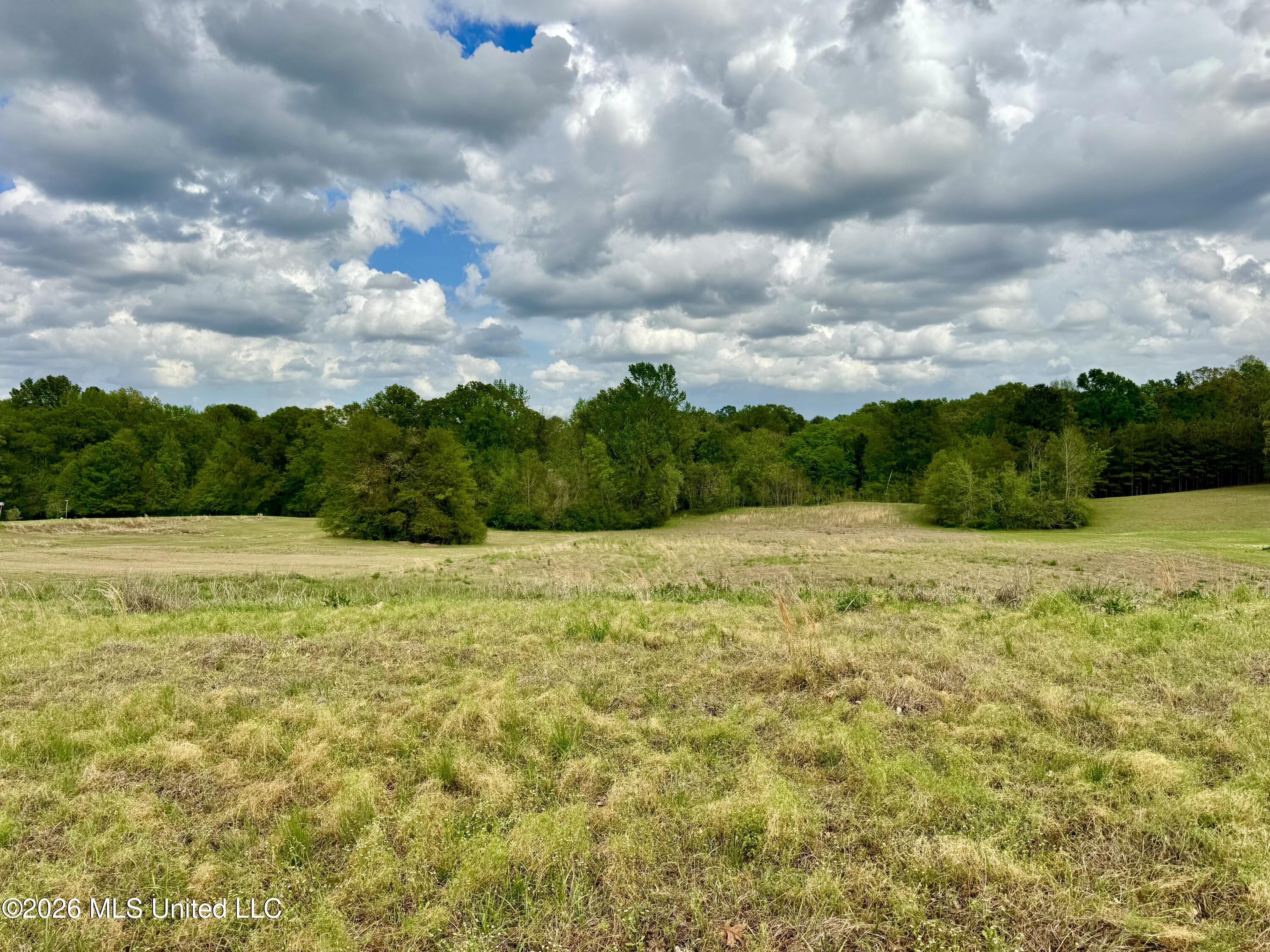 000001 Meadow Oak Lane Property Photo 10