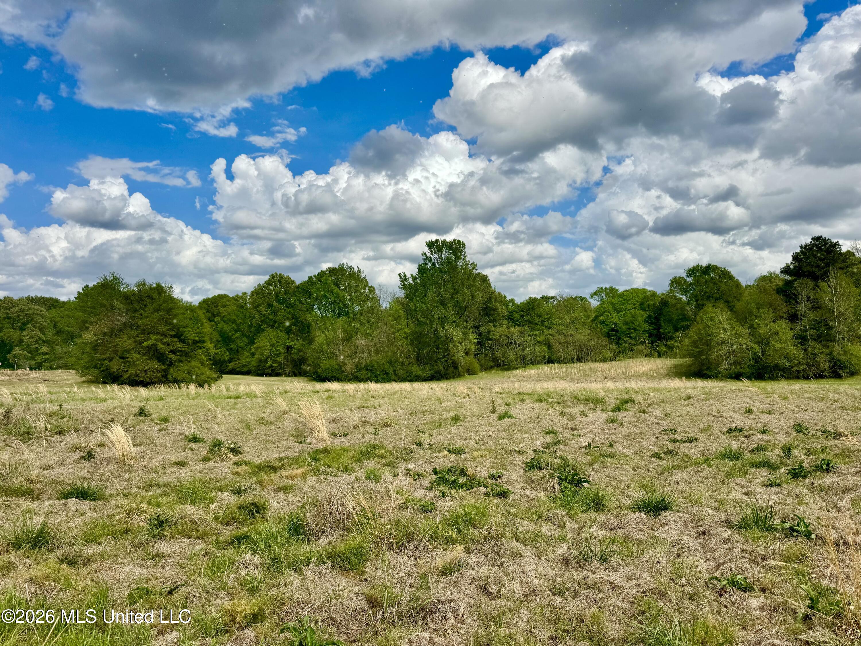 000001 Meadow Oak Lane Property Photo 14