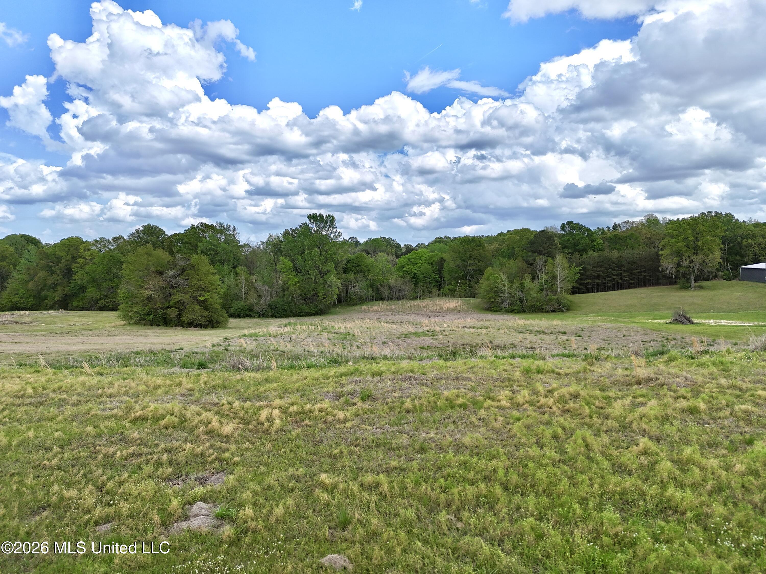 000001 Meadow Oak Lane Property Photo 15