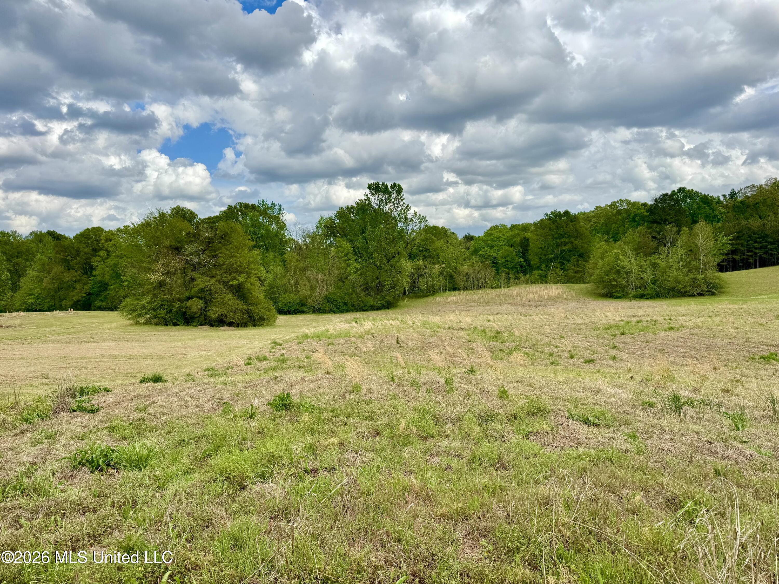 000001 Meadow Oak Lane Property Photo 16