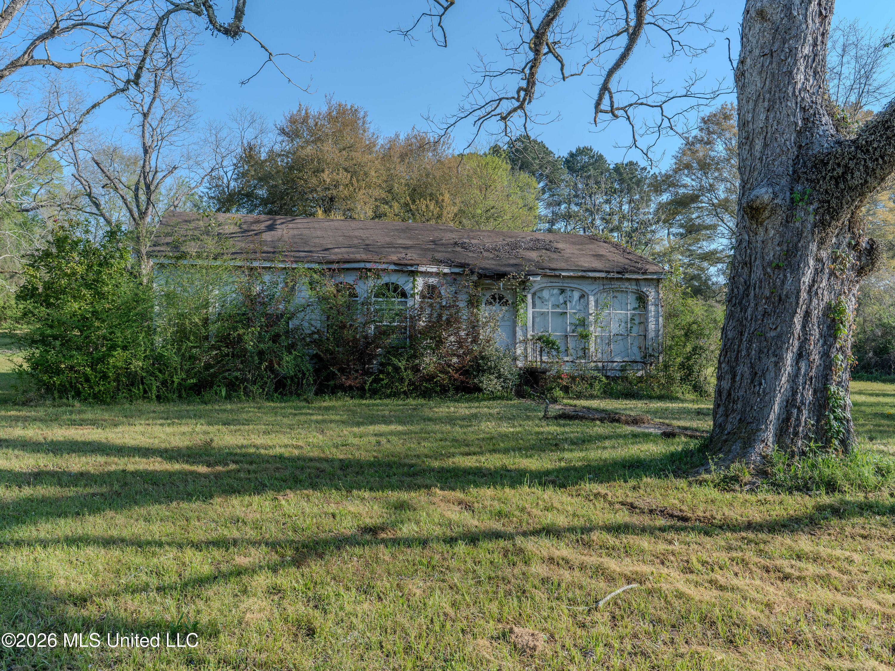234 Mayfield Street Property Photo 15