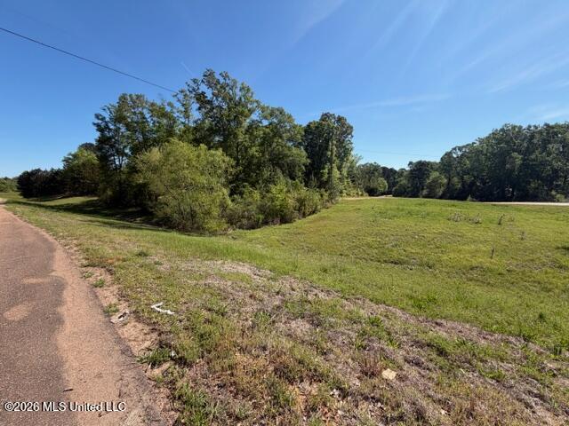Hwy 471 Property Photo 8