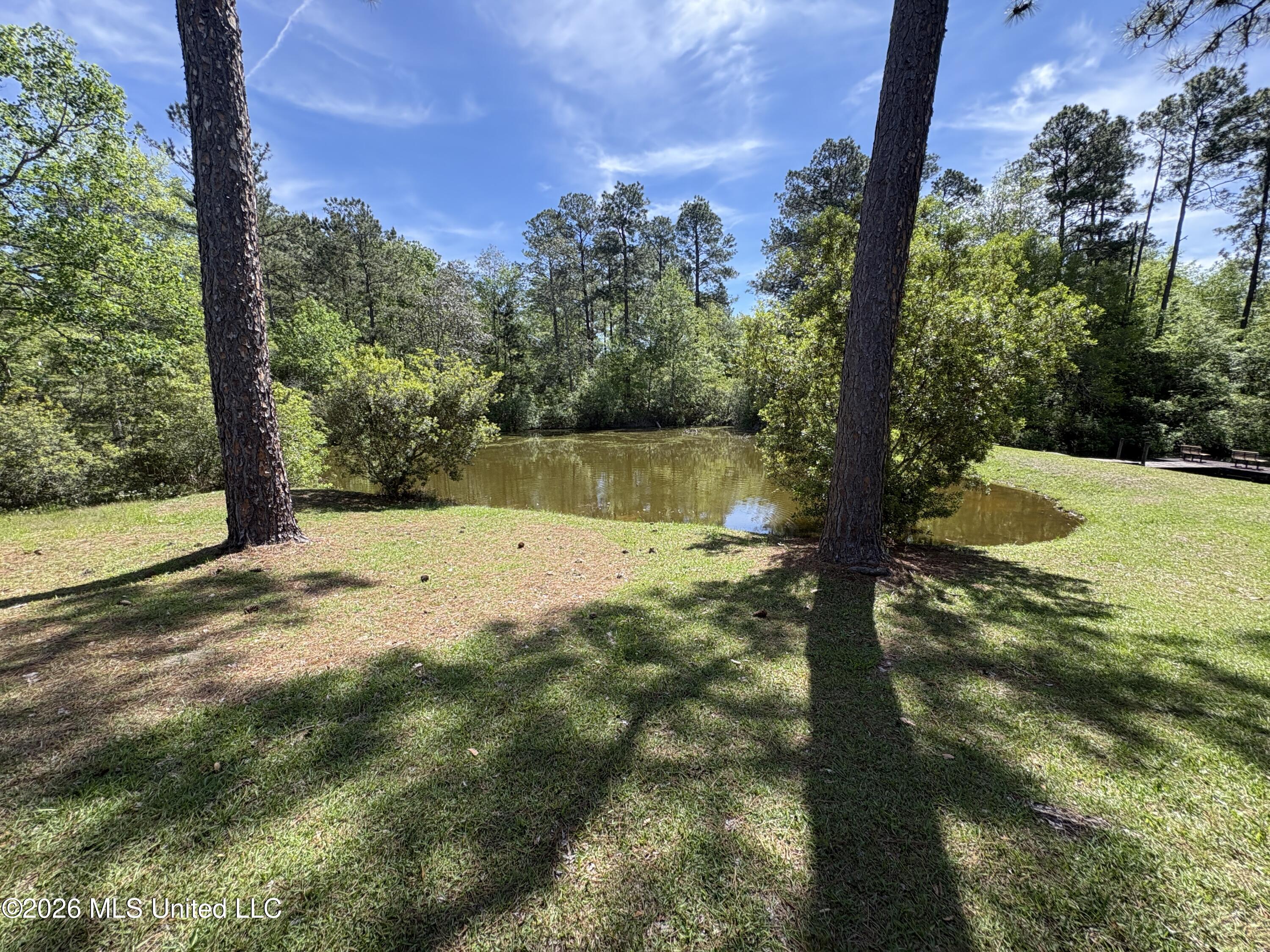 64 Lee Prine Drive Property Photo 8