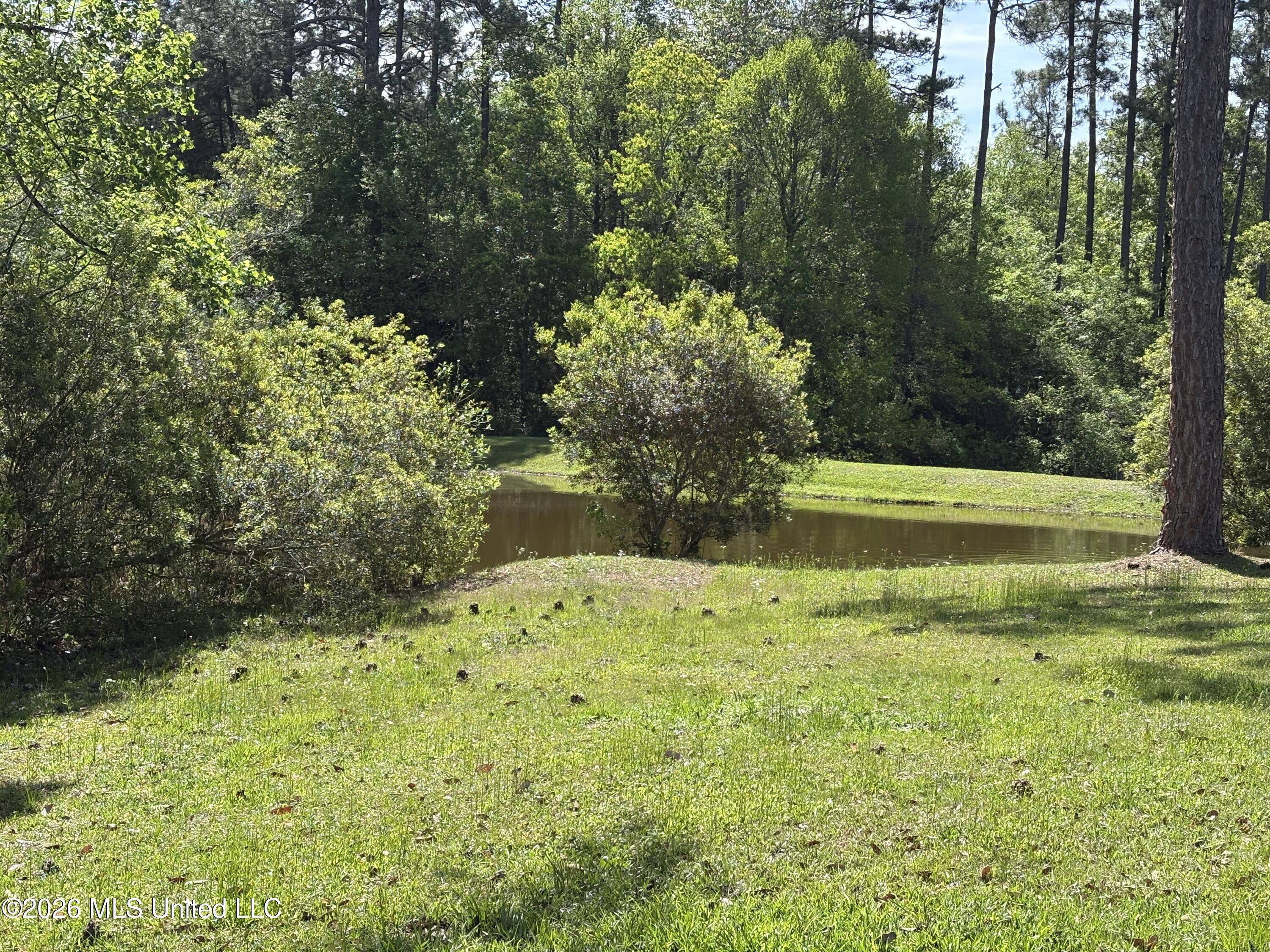 64 Lee Prine Drive Property Photo 22