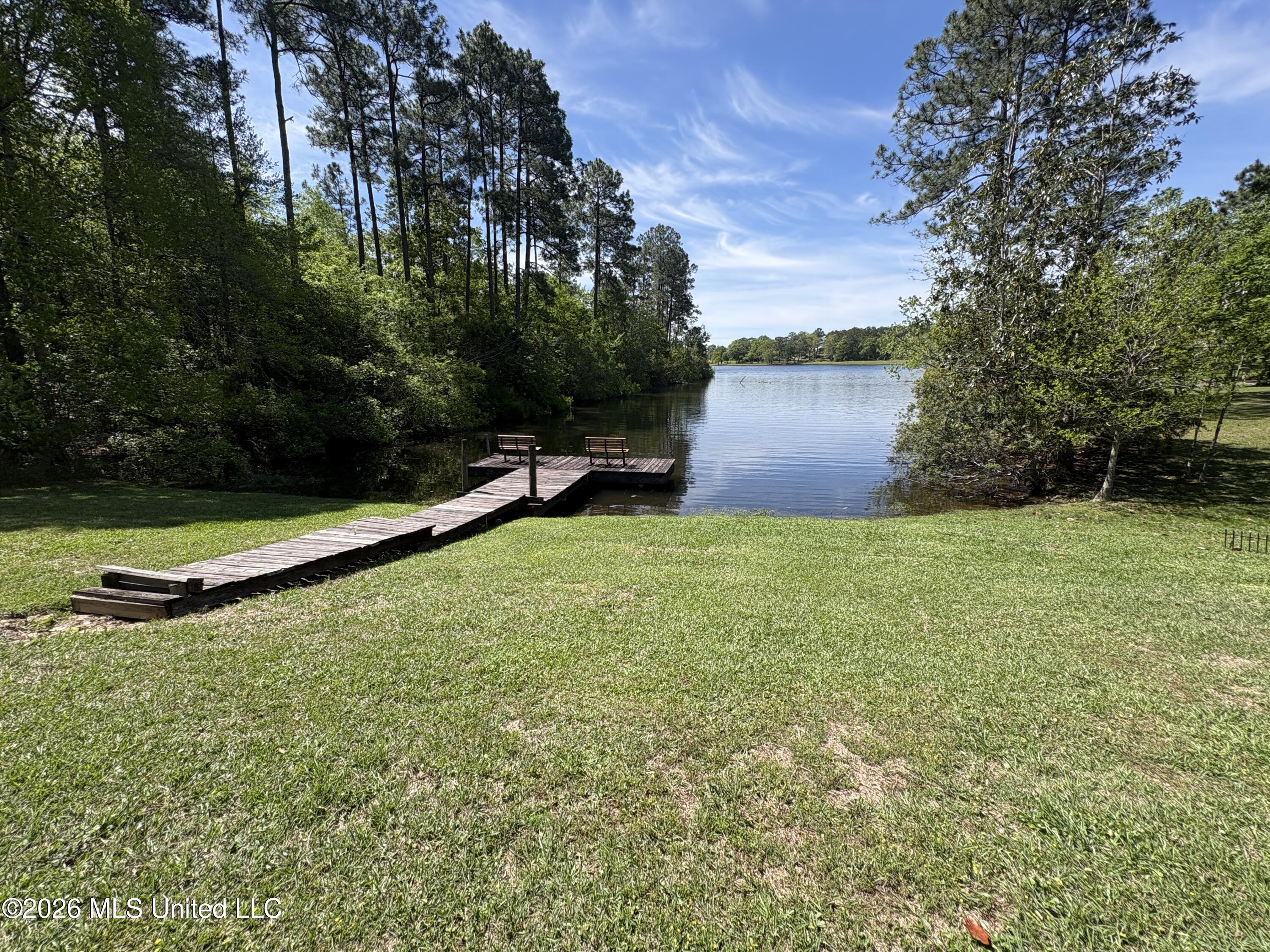 64 Lee Prine Drive Property Photo 25