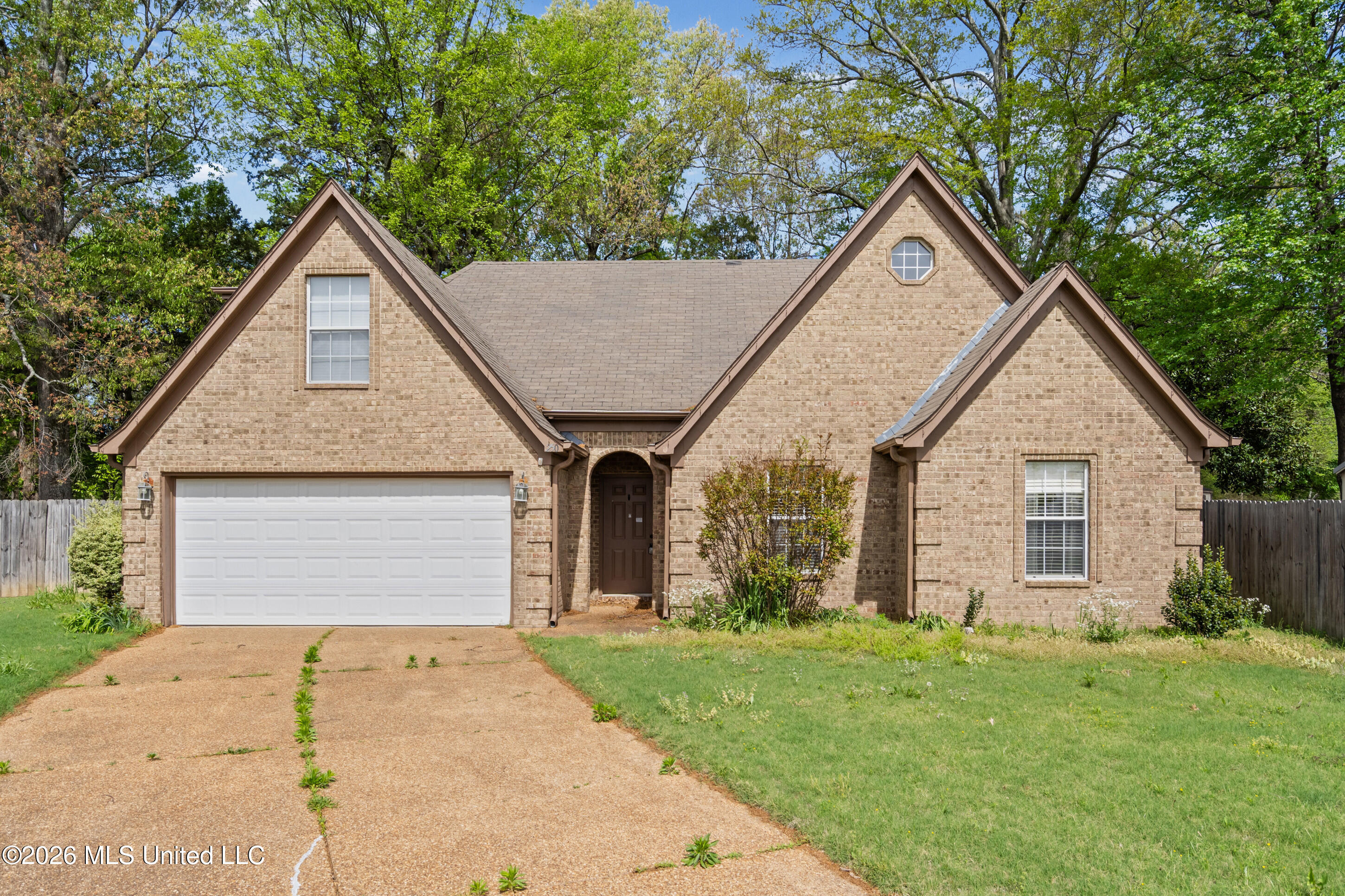250 Vaiden Ridge Cove Property Photo 2