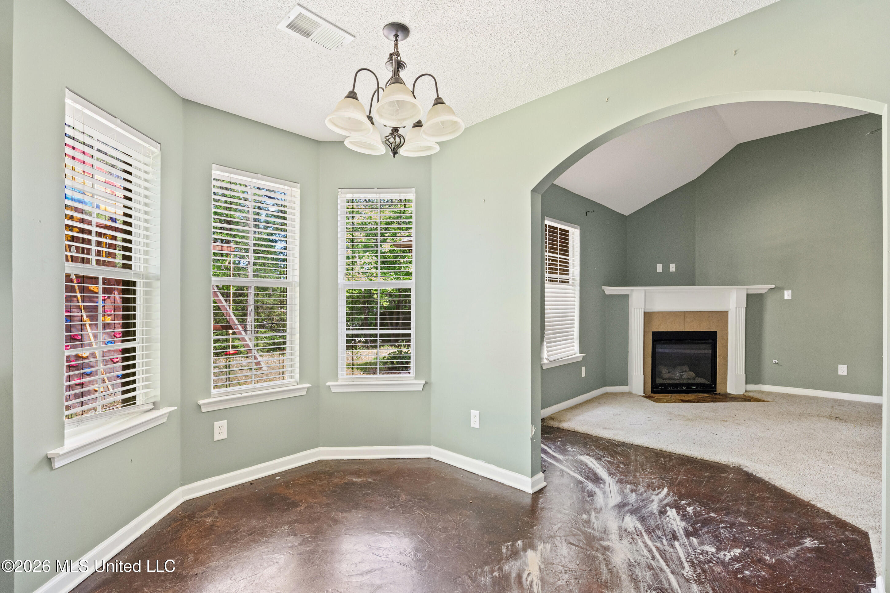 250 Vaiden Ridge Cove Property Photo 7