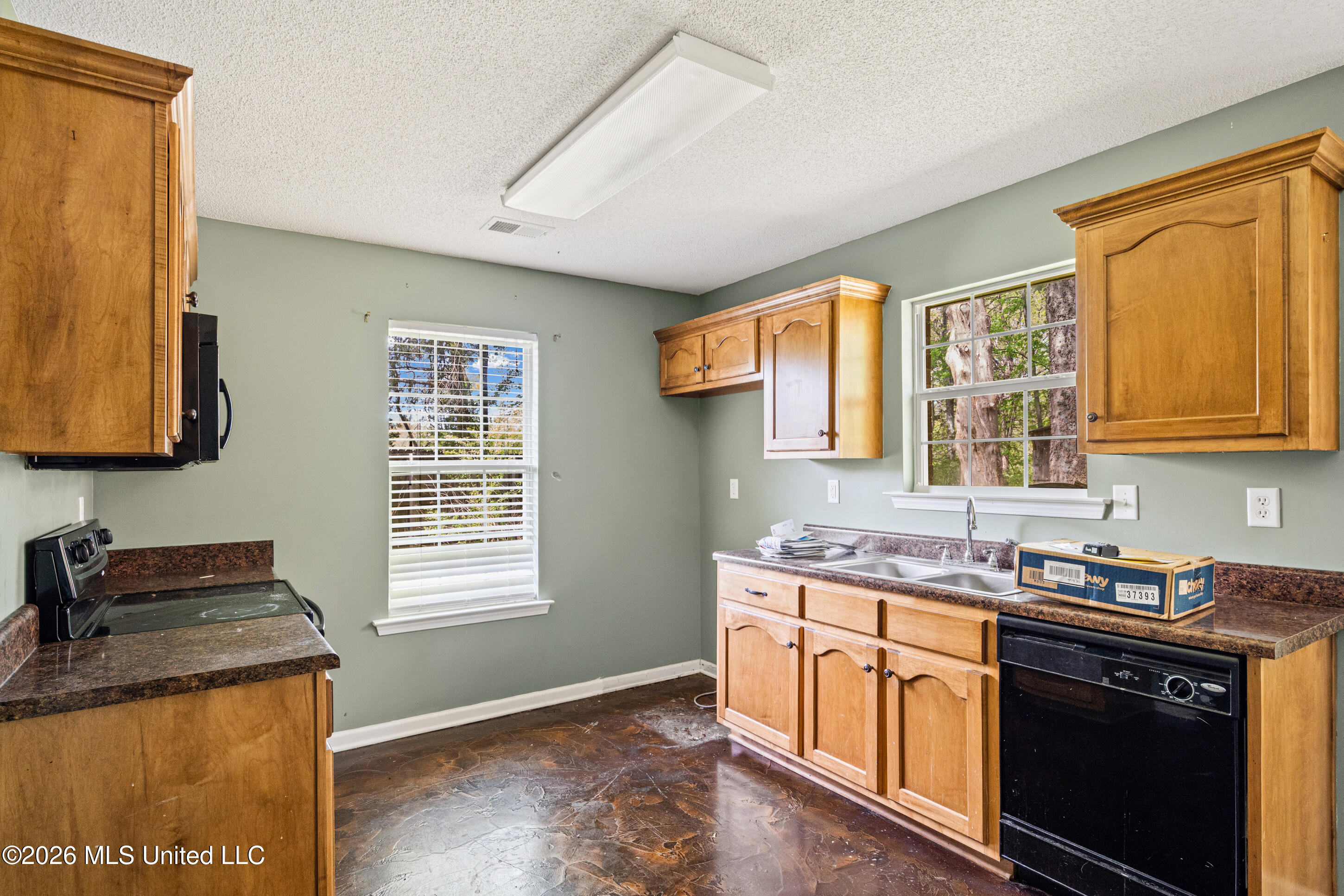 250 Vaiden Ridge Cove Property Photo 8