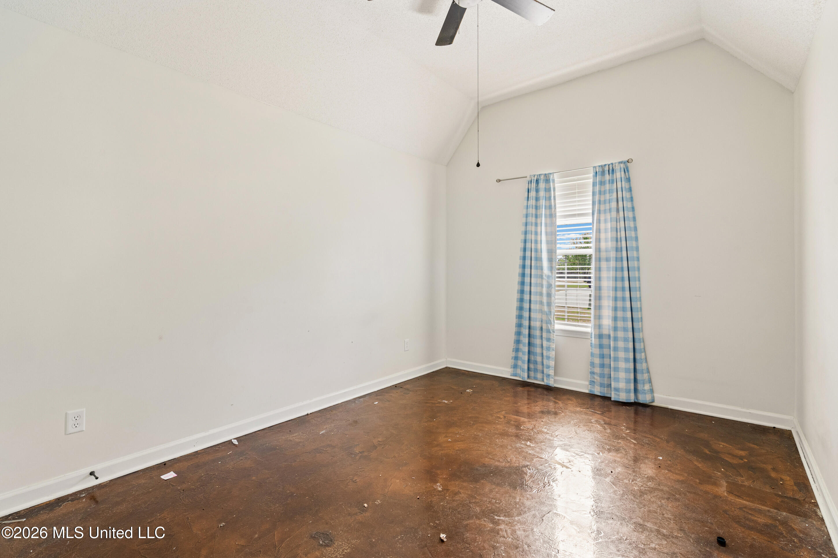 250 Vaiden Ridge Cove Property Photo 16