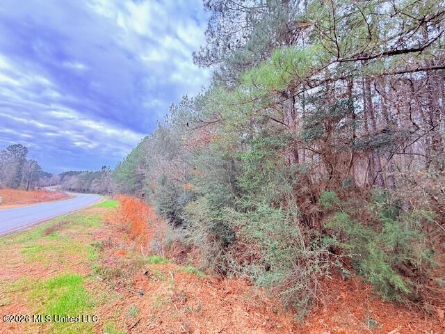 Busy Corner Road Property Photo 3