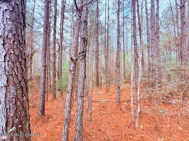 Busy Corner Road Property Photo 5