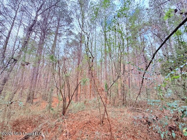 Busy Corner Road Property Photo 9