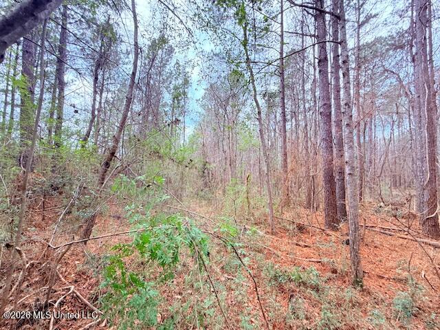 Busy Corner Road Property Photo 12