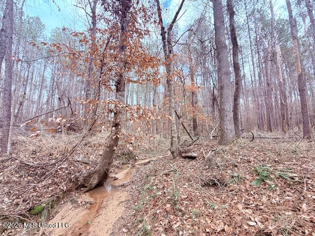 Busy Corner Road Property Photo 16