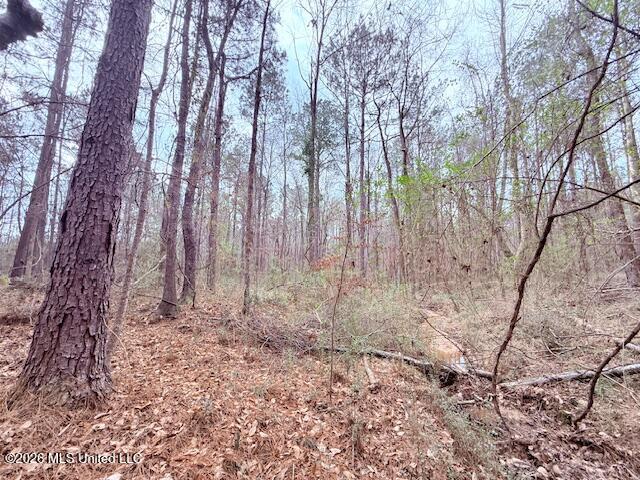 Busy Corner Road Property Photo 18