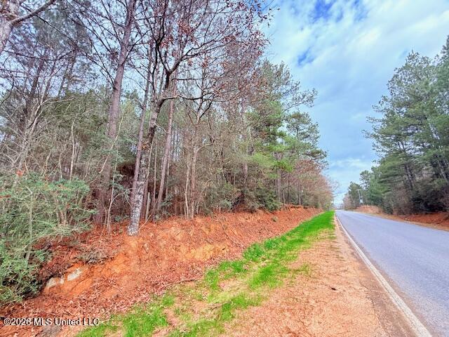 Busy Corner Road Property Photo 24