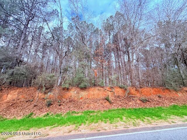 Busy Corner Road Property Photo 25
