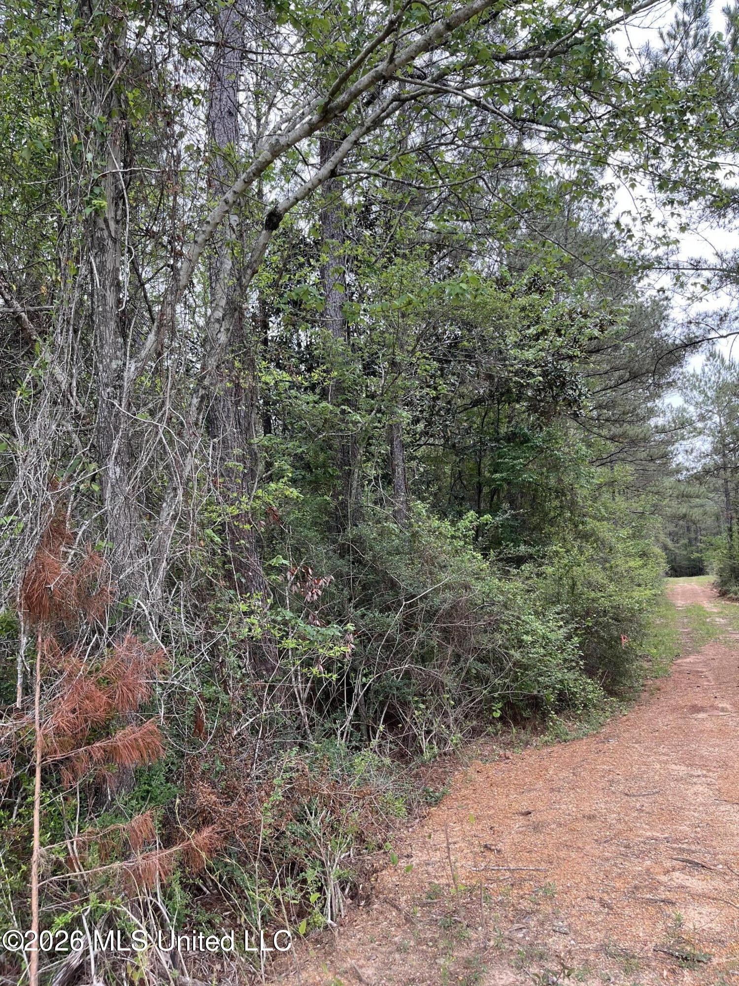 Hwy 49 Property Photo 1