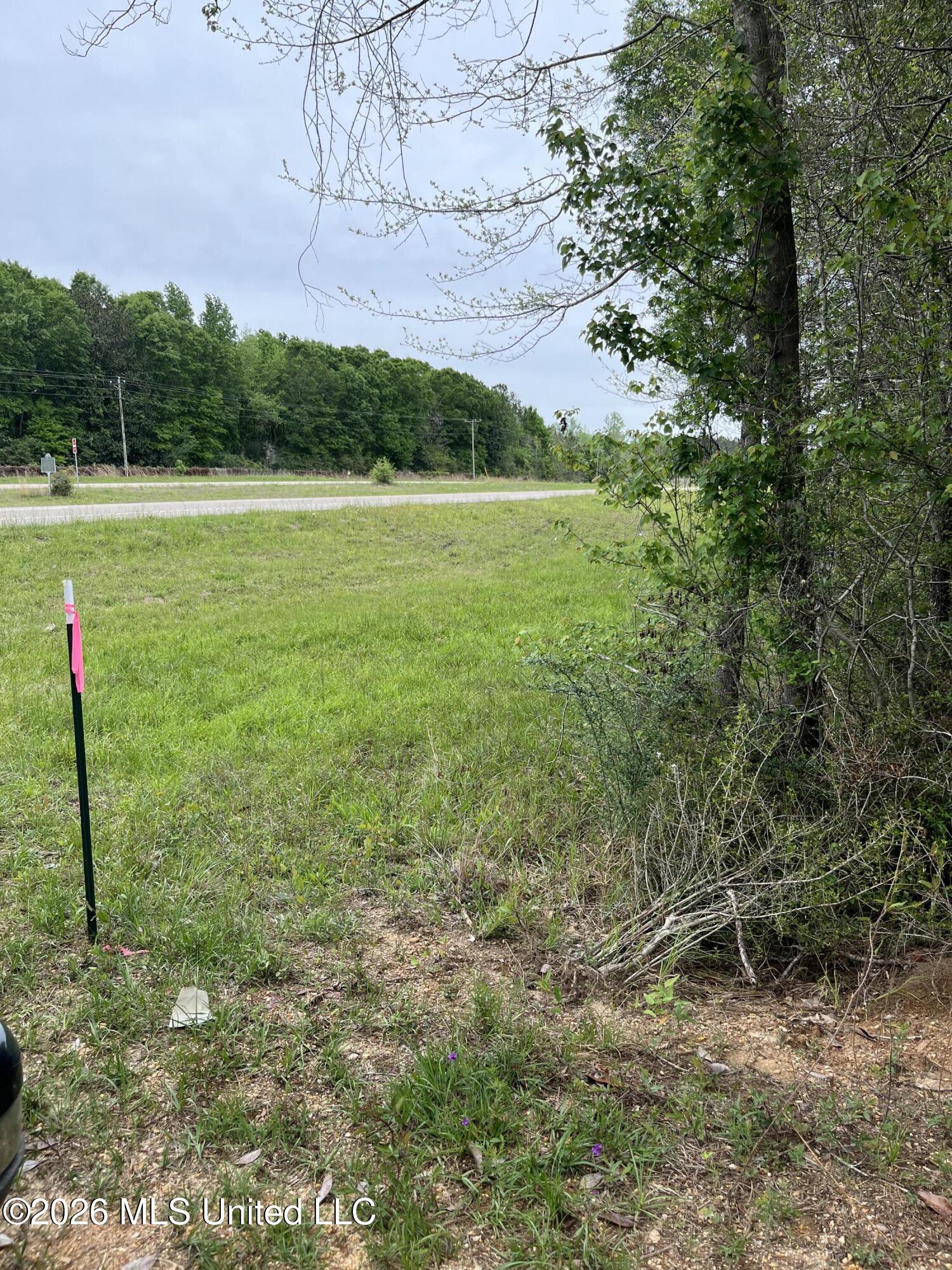 Hwy 49 Property Photo 2