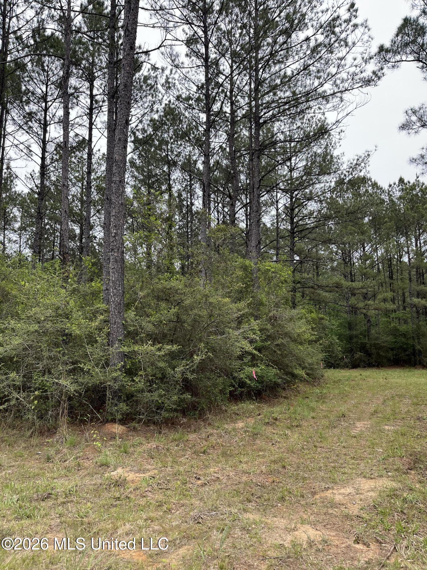 Hwy 49 Property Photo 3