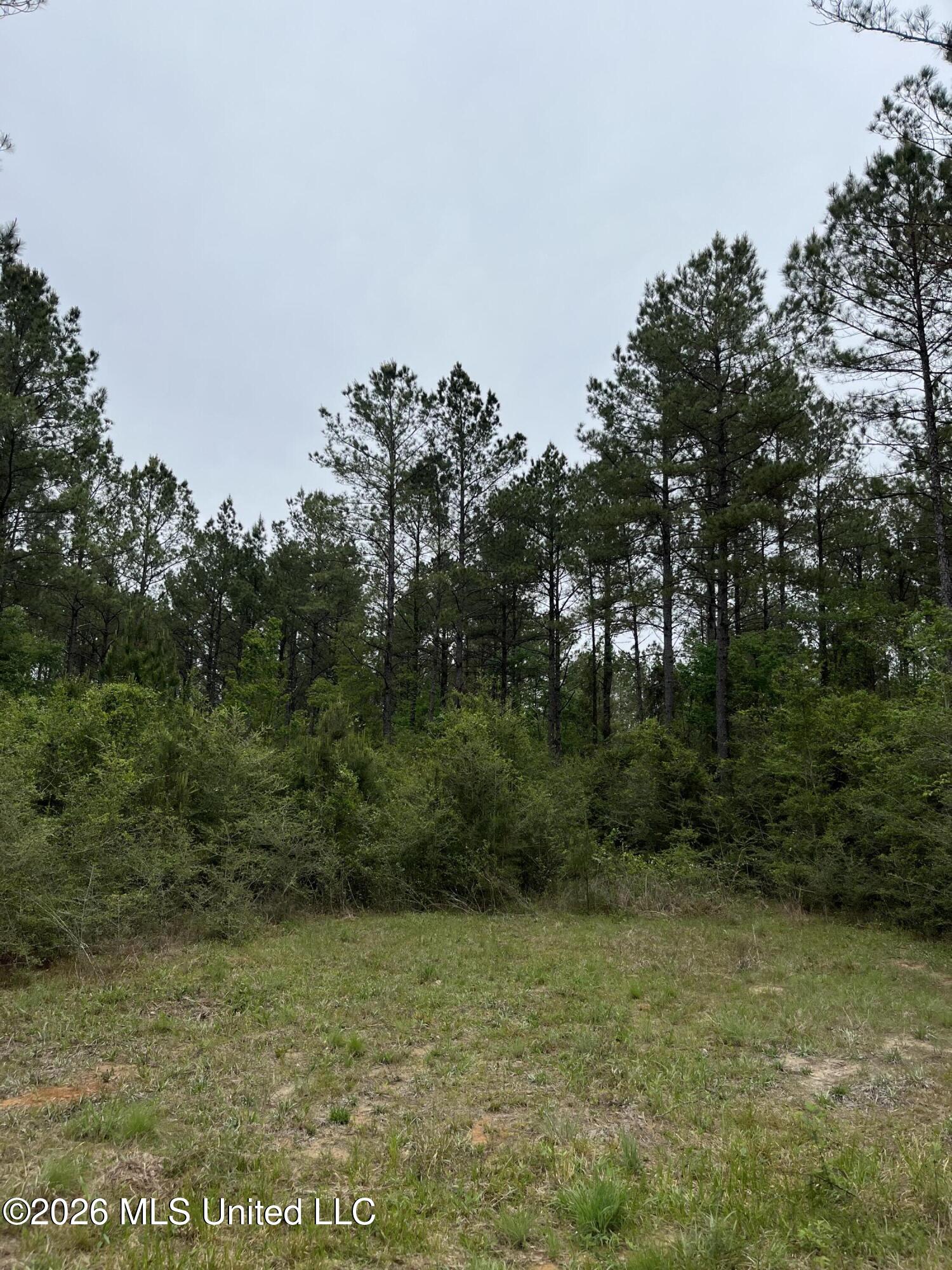 Hwy 49 Property Photo 4