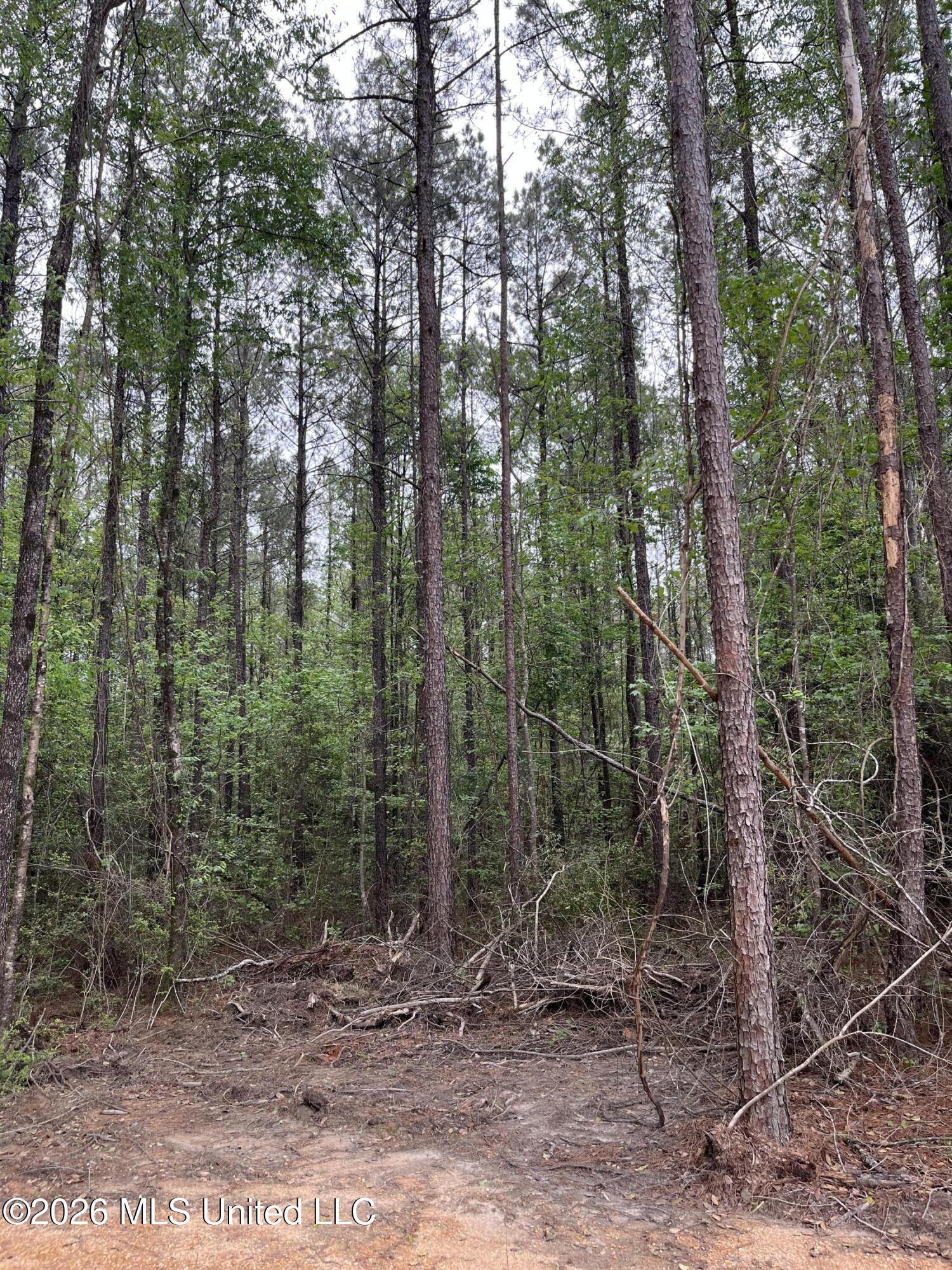 Hwy 49 Property Photo 4