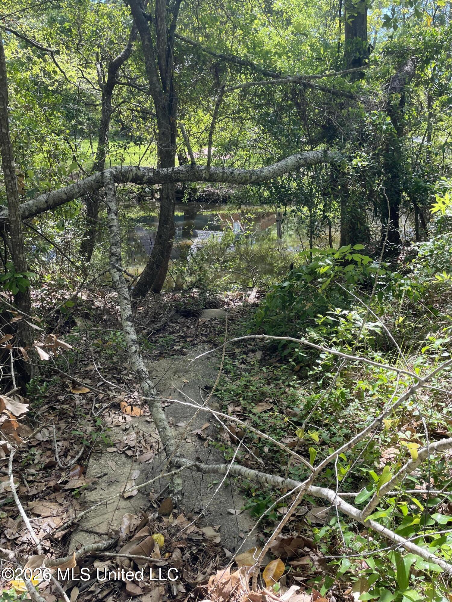 6405 W Shore Drive Property Photo 18
