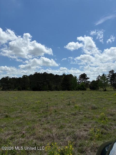 331 D Williams Road Property Photo 2