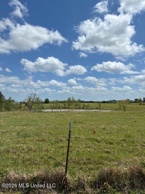 331 D Williams Road Property Photo 4