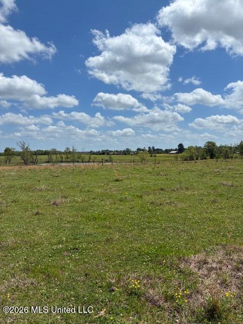 331 D Williams Road Property Photo 5