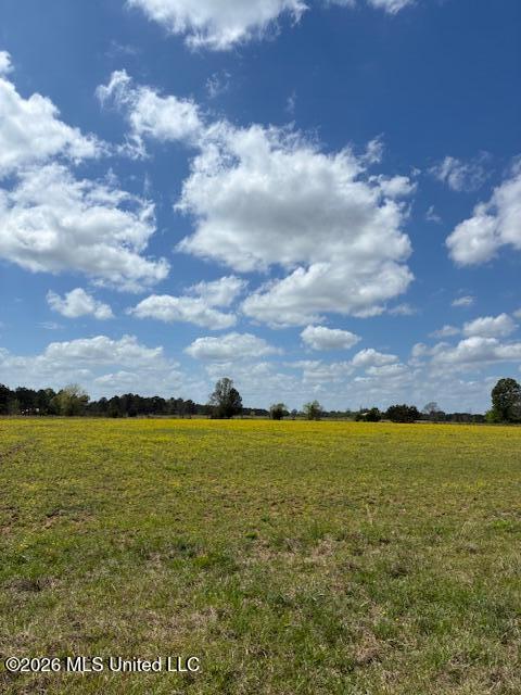 331 D Williams Road Property Photo 6