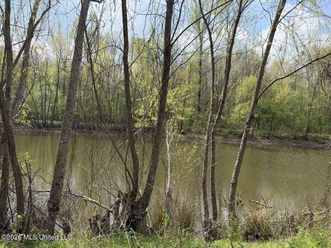 3882 Henderson Road Property Photo 12