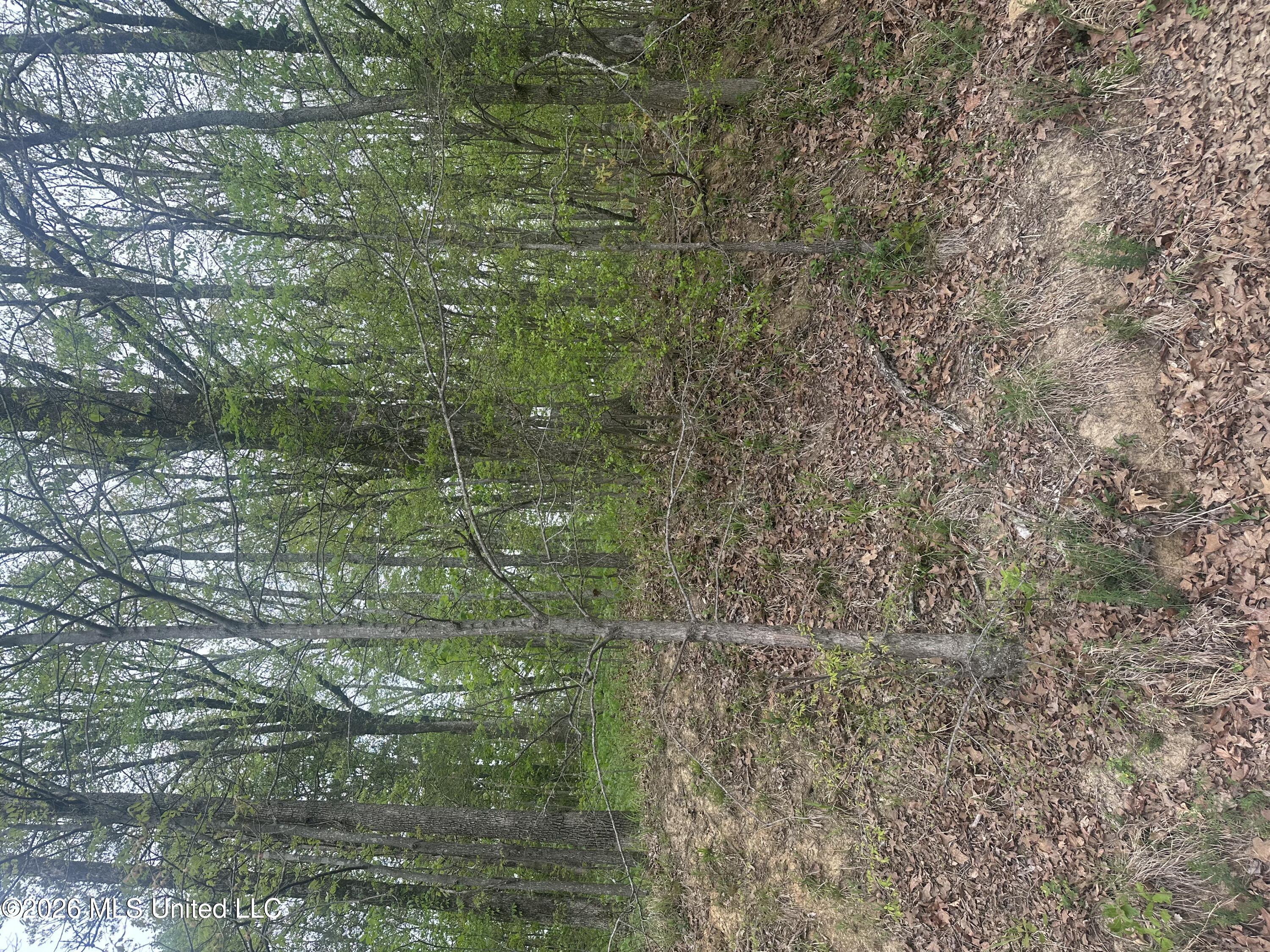 8768/8750 Bob White Drive Property Photo 1
