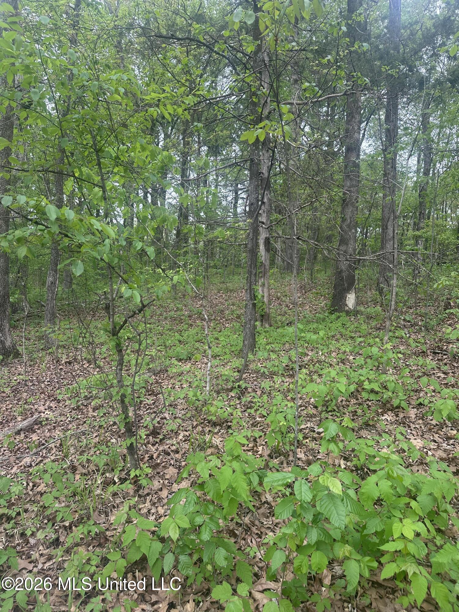 8768/8750 Bob White Drive Property Photo 5