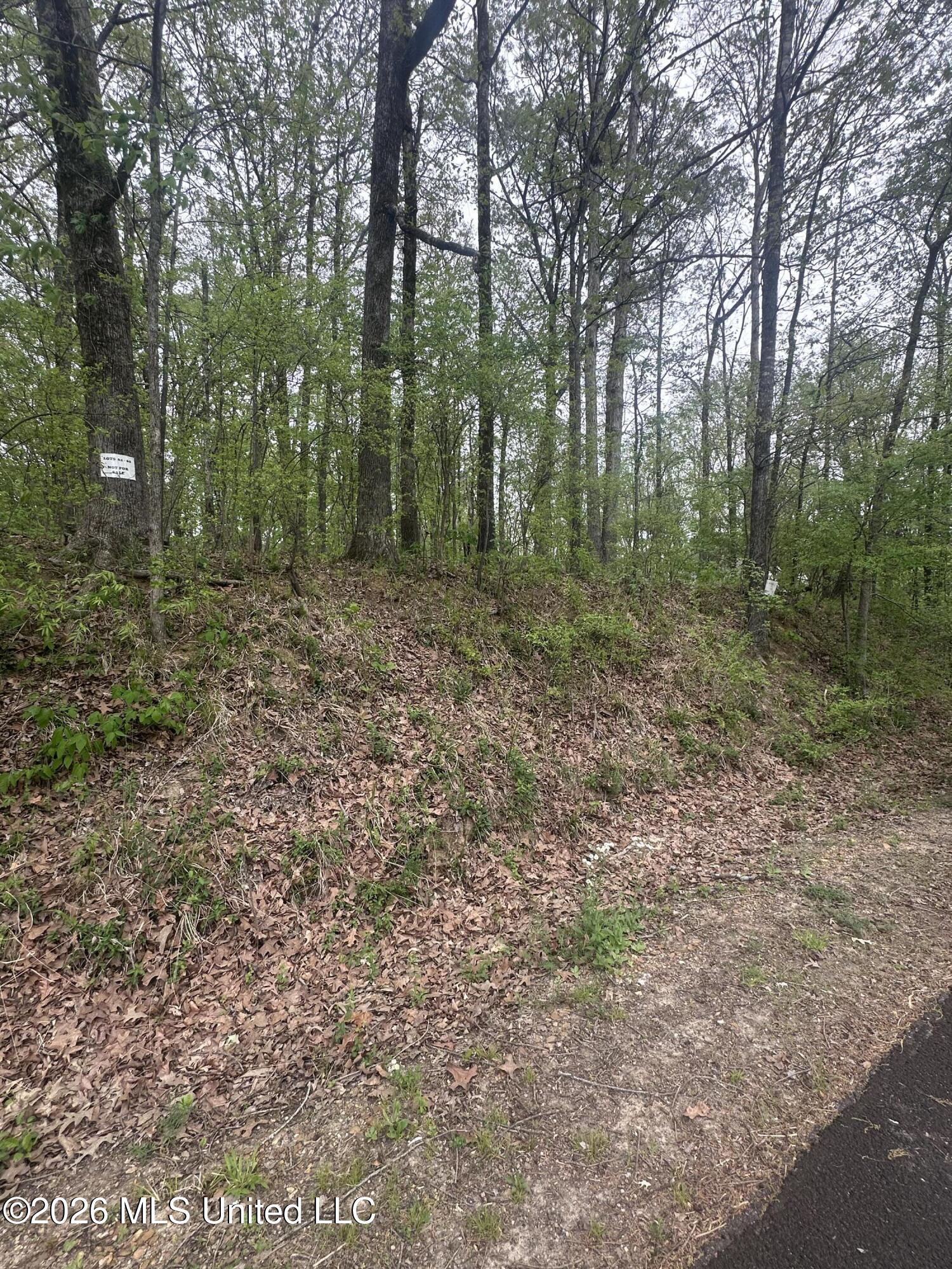 8768/8750 Bob White Drive Property Photo 6