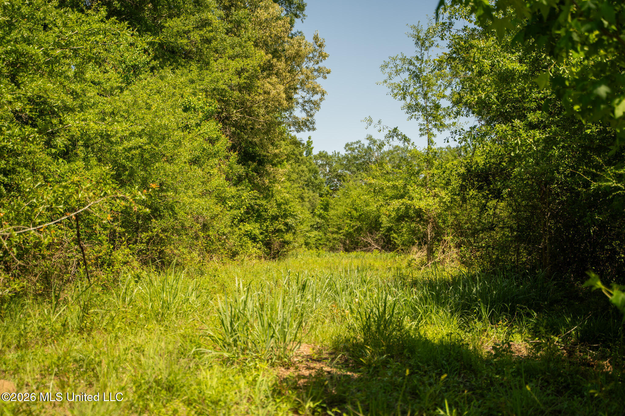 1311 N Jackson Street Property Photo 5