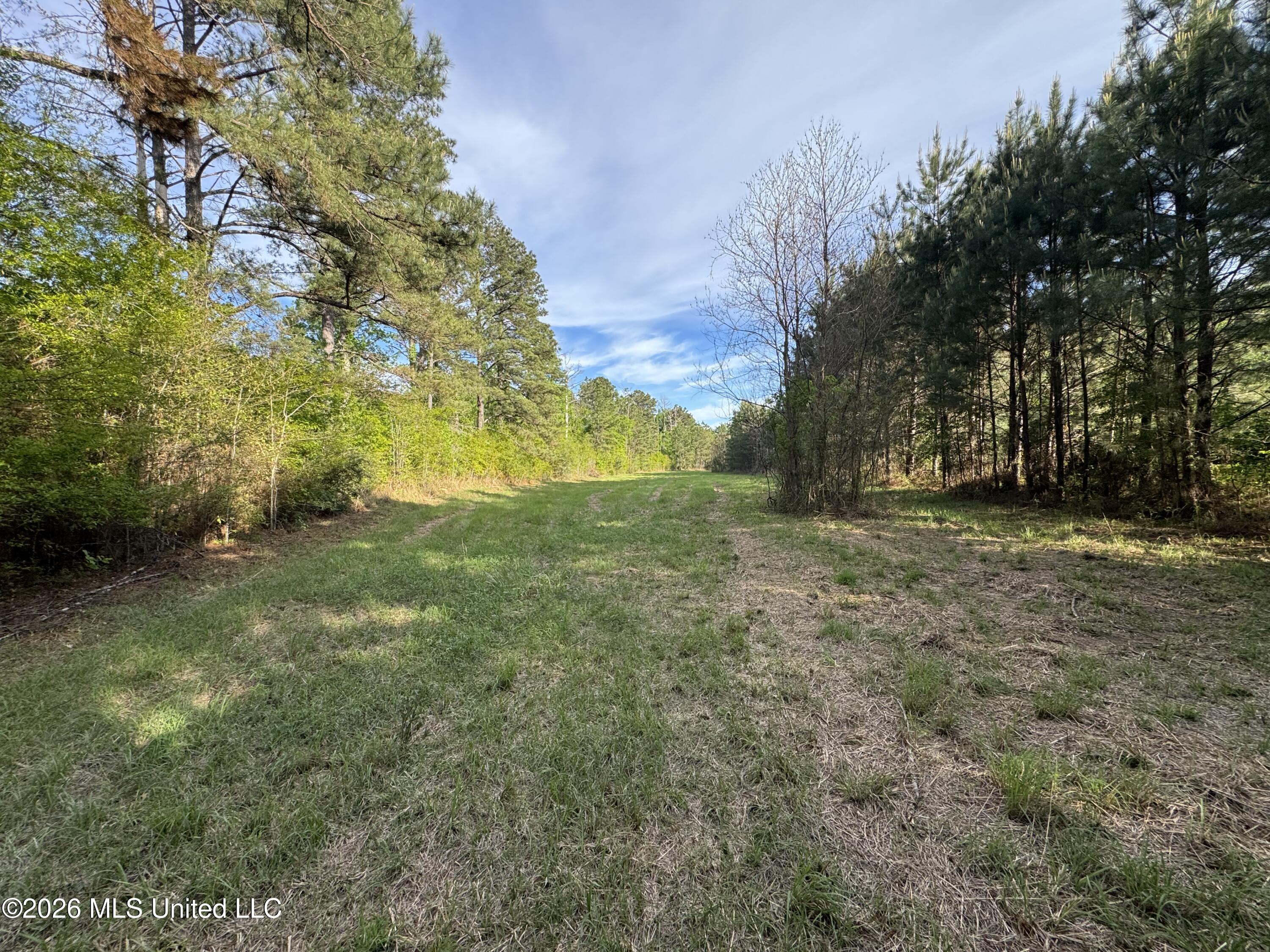 1311 N Jackson Street Property Photo 6