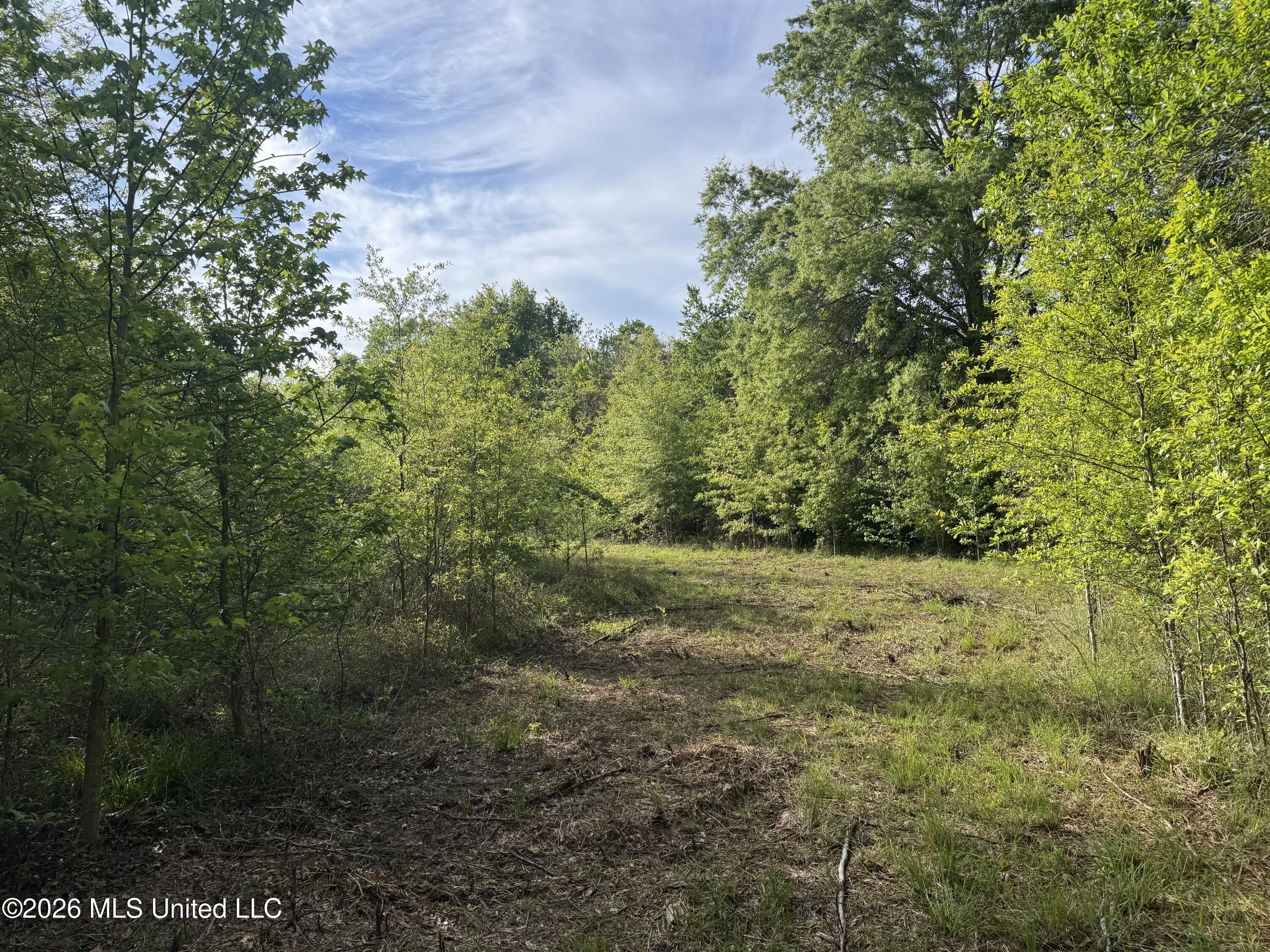 1311 N Jackson Street Property Photo 15