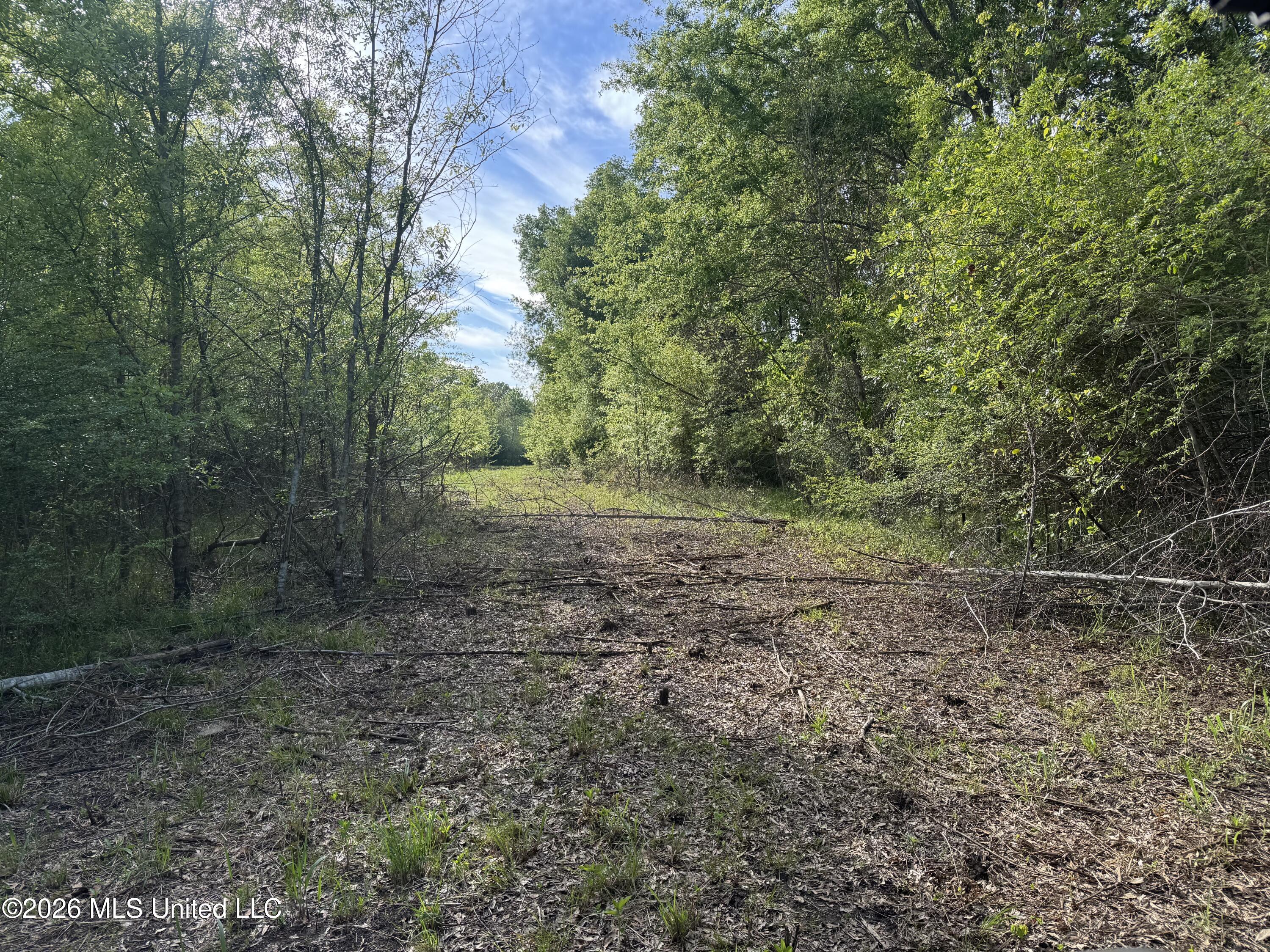 1311 N Jackson Street Property Photo 16