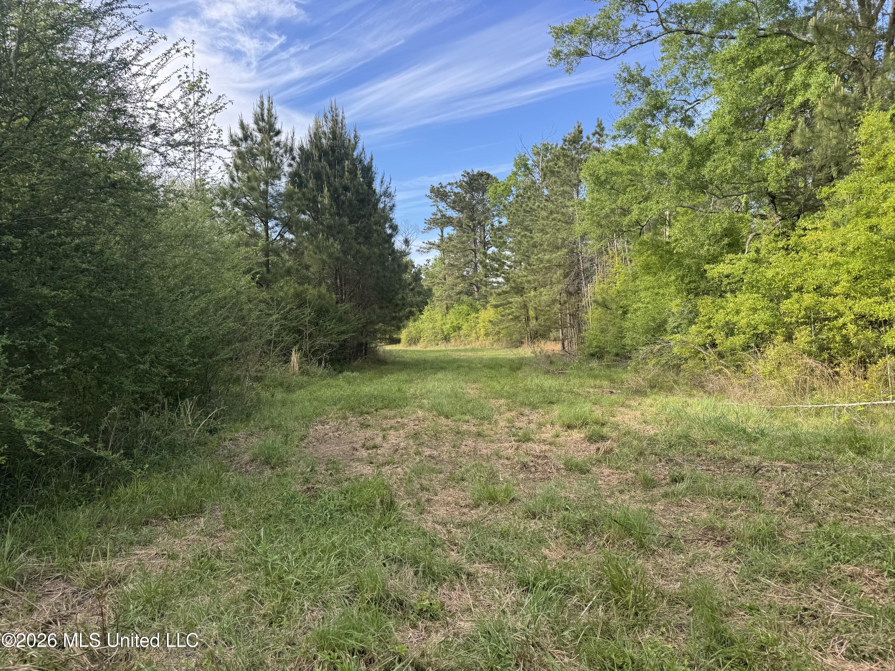 1311 N Jackson Street Property Photo 20