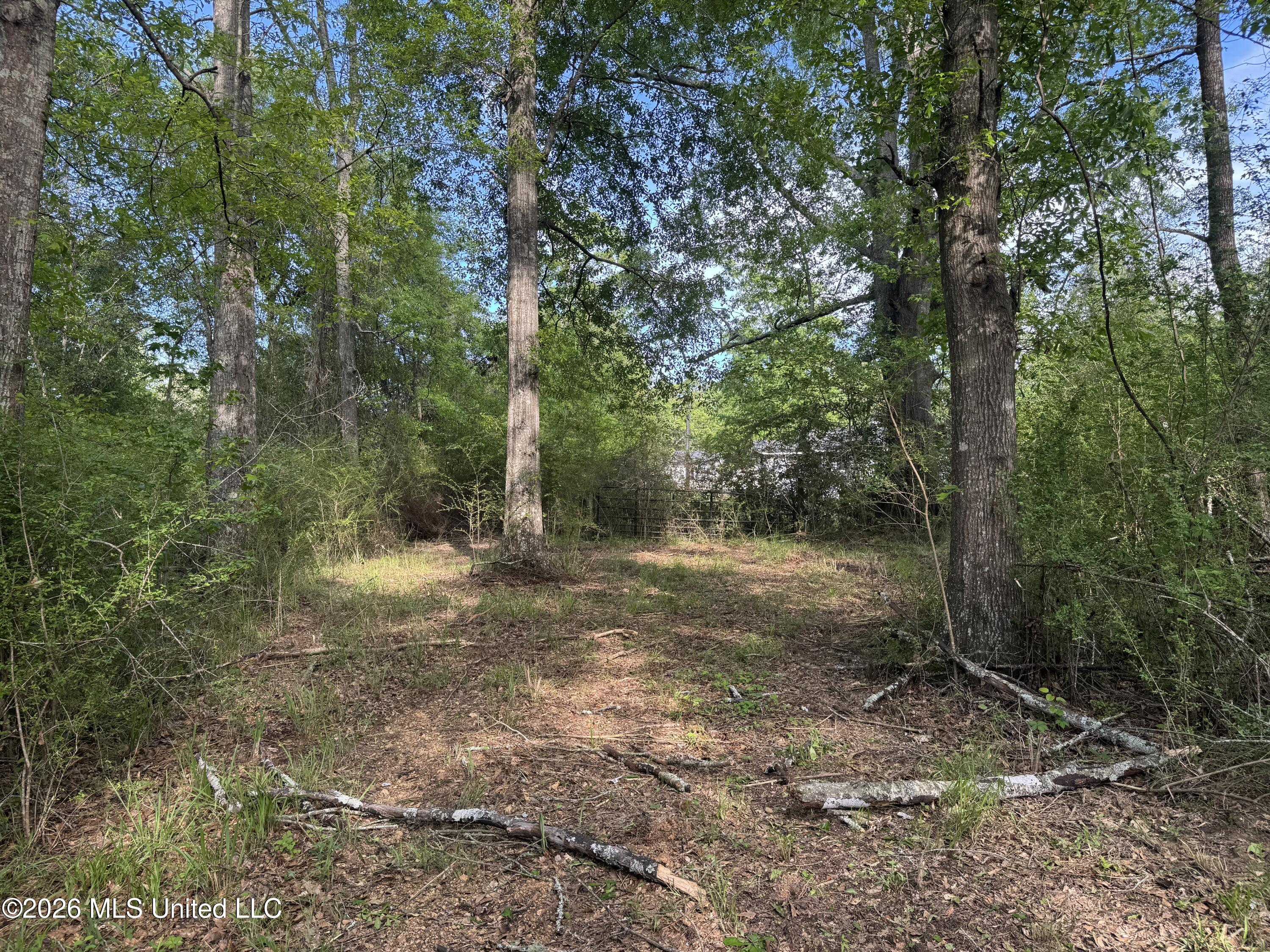 1311 N Jackson Street Property Photo 25