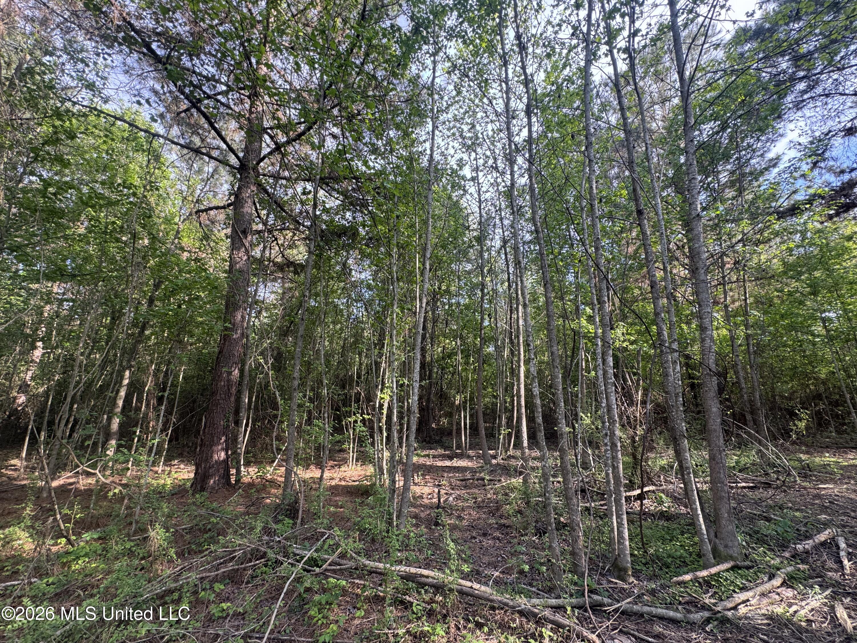 1311 N Jackson Street Property Photo 41