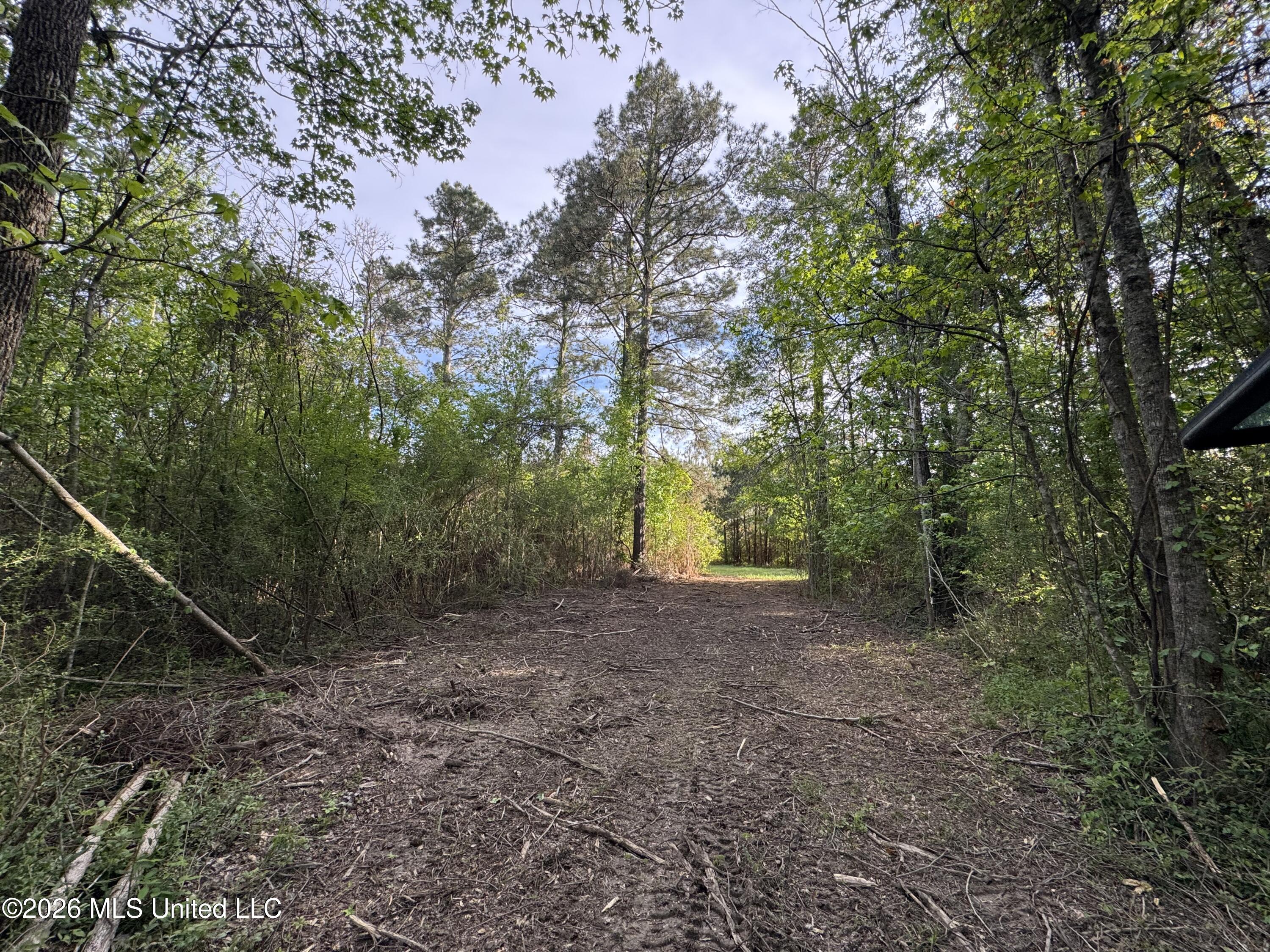1311 N Jackson Street Property Photo 42