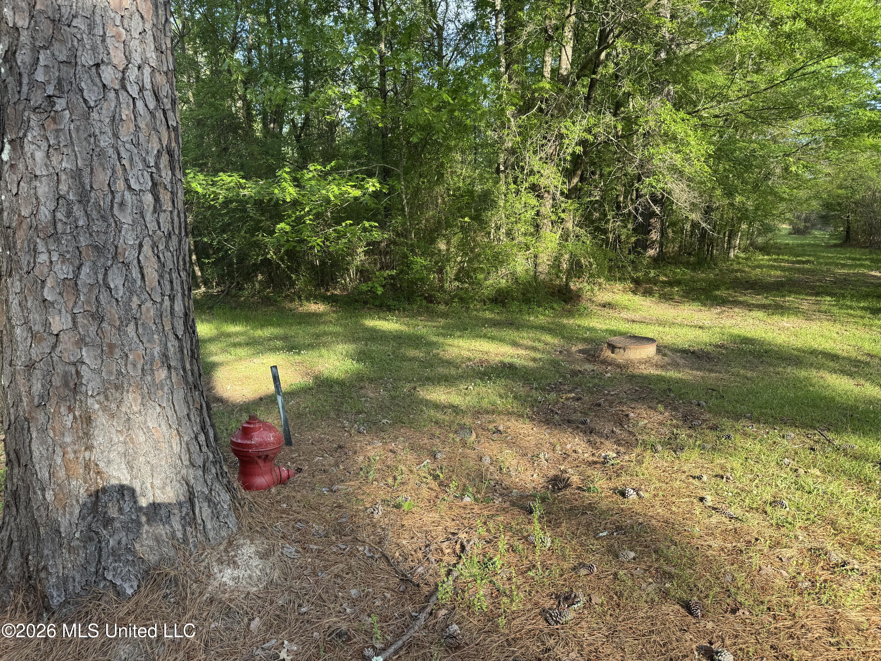 1311 N Jackson Street Property Photo 43