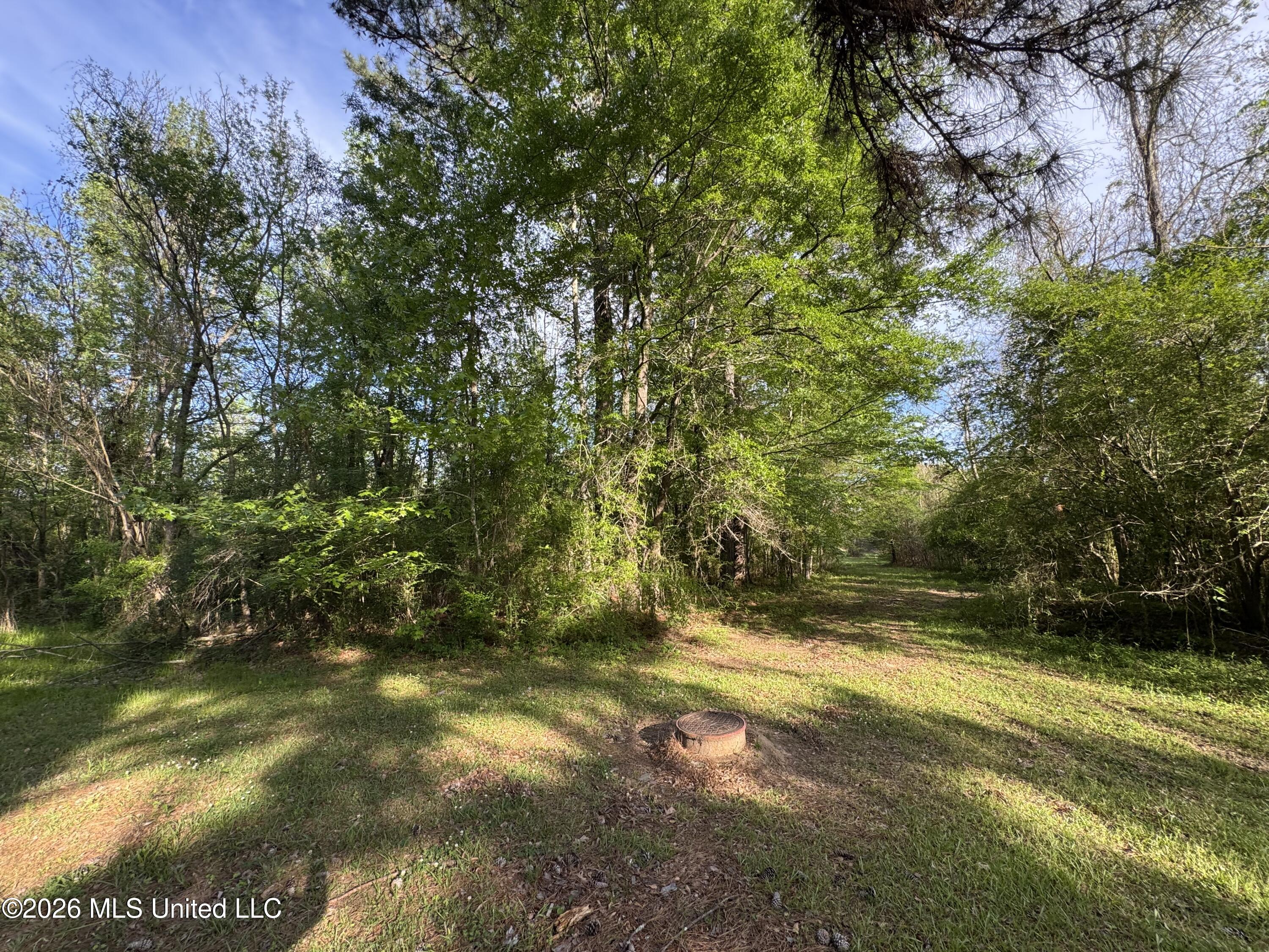 1311 N Jackson Street Property Photo 44