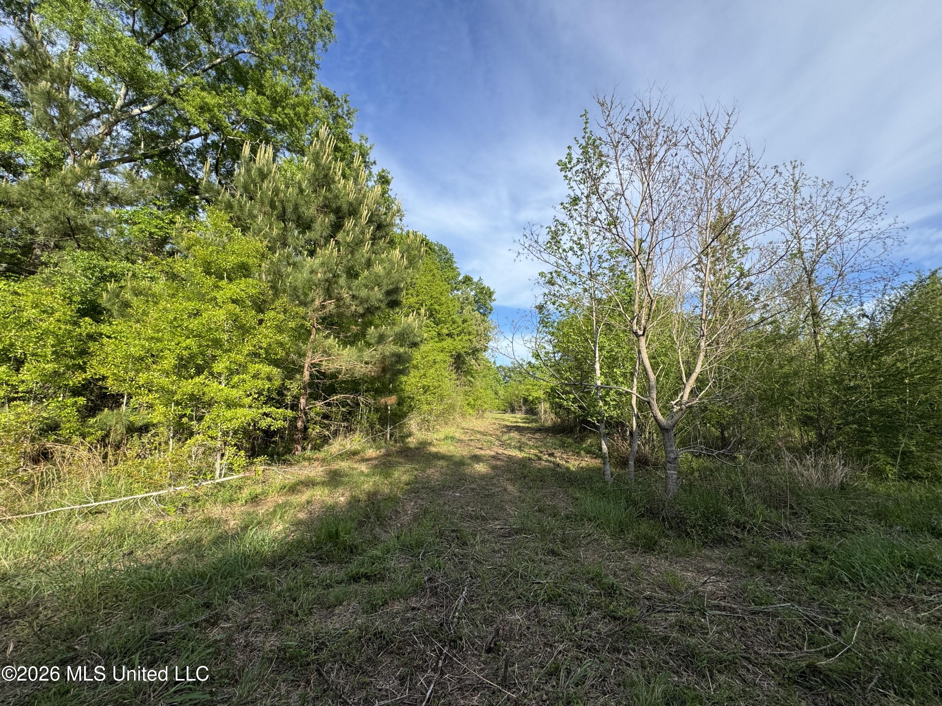1311 N Jackson Street Property Photo 45